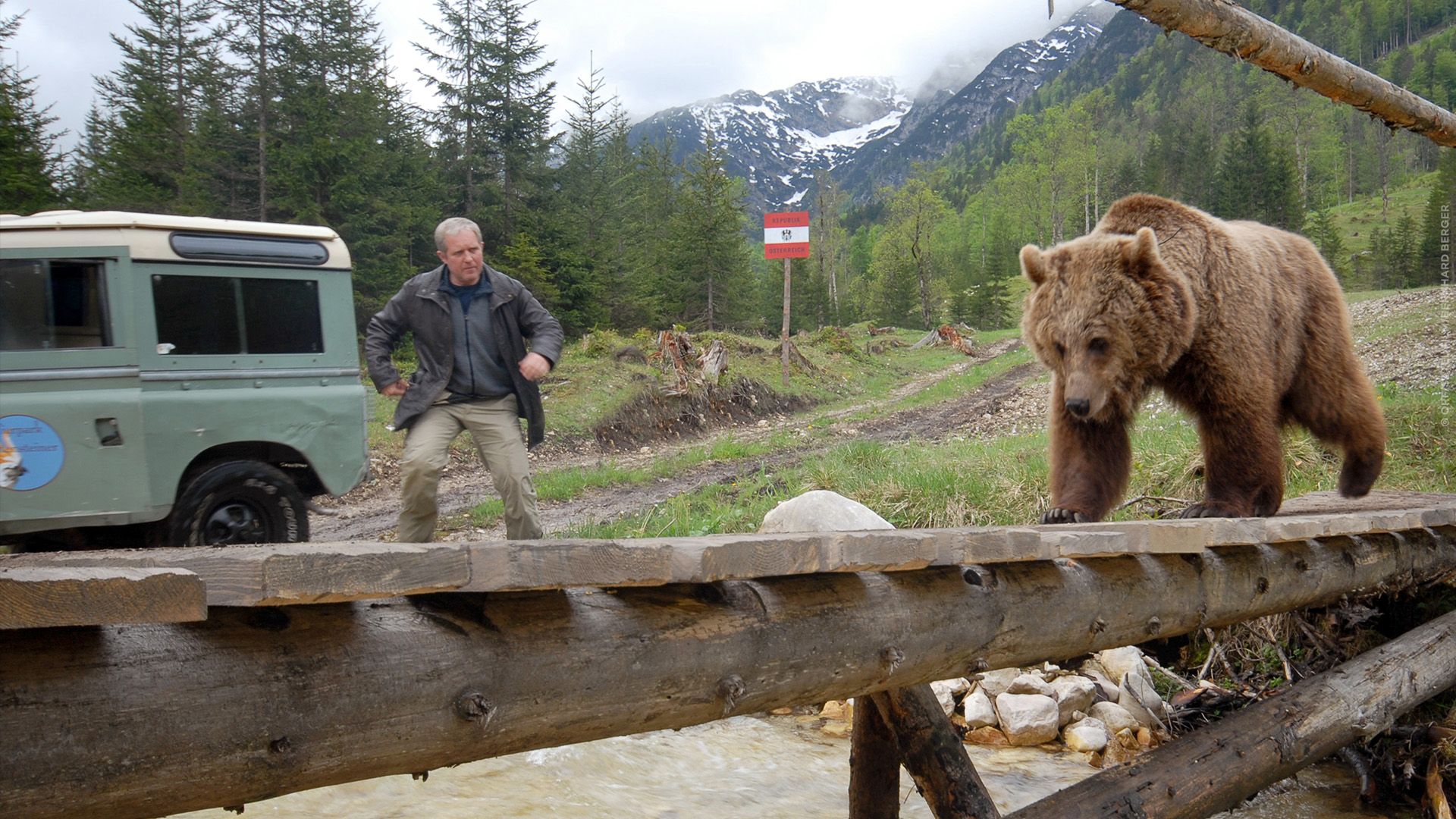 Der Bär ist los! Die Geschichte von Bruno