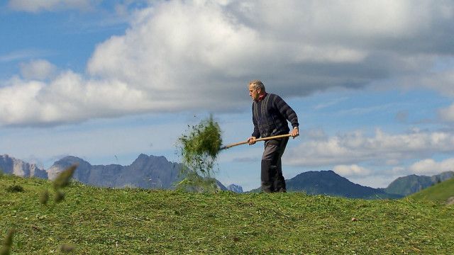 Unser Österreich: Über uns nur der Himmel - Almauftrieb in Kärnten und der Steiermark