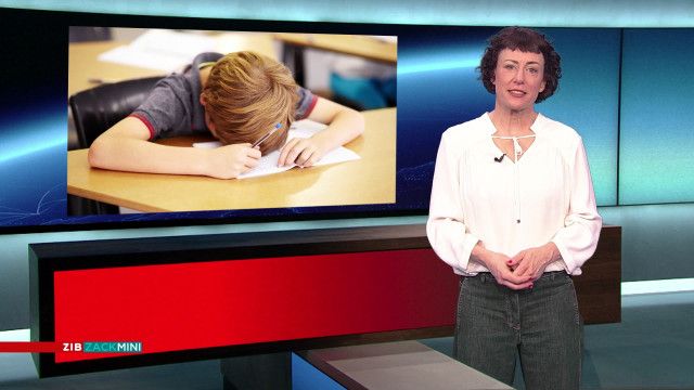 ZIB Zack Mini vom 27.02.2026