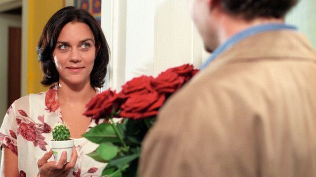 Julia - Eine ungewöhnliche Frau (5/13): Ein Neubeginn