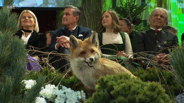 Seitenblicke Weekend vom 01.02.2026