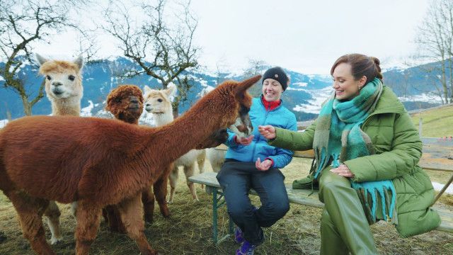 Reisezeit - Österreich: Best of