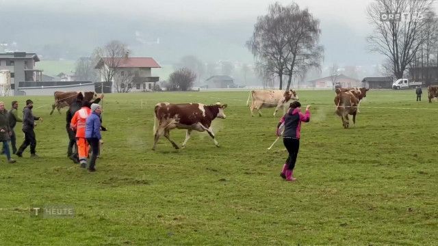 Tirol heute vom 17.03.2026