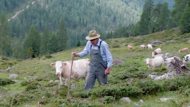 Heimat Österreich: Bergleben rund ums Mölltal