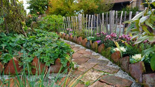 Natur im Garten vom 29.11.2025