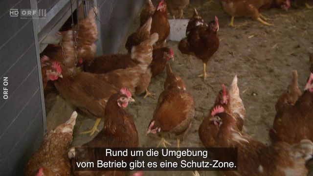 Nachrichten in einfacher Sprache vom 18.11.2025