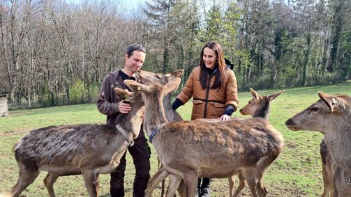 Zurück zur Natur Zurück zur Natur Folge 46: Zurück zur Natur: Ottakring