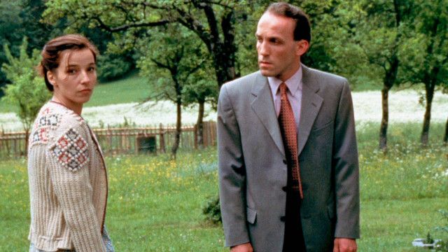 Stockinger (6/14): Der Tote im Narzissenfeld