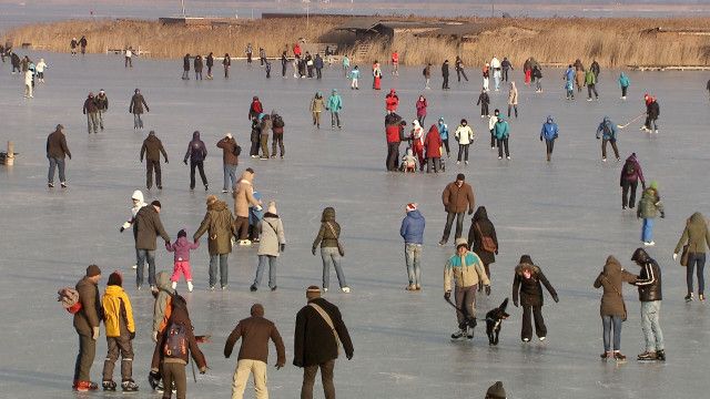Winter am Neusiedler See