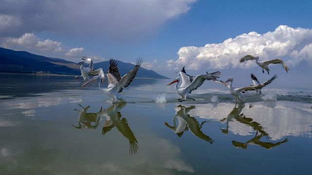 Expeditionen: Wildes Griechenland - Der unbekannte Norden 1/2