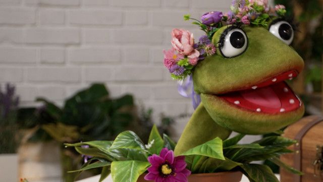 Die Gartenpiraten: Bunte Blumen