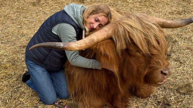 Tierische Augenblicke