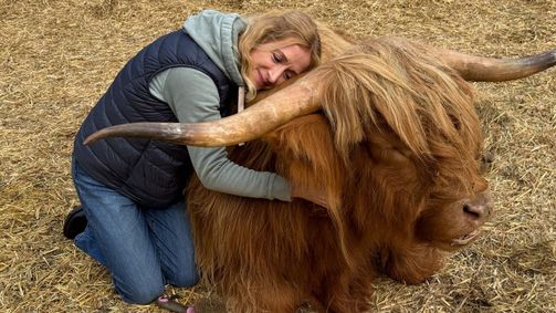 Tierische Augenblicke Tierische Augenblicke Folge 30: Tierische Augenblicke