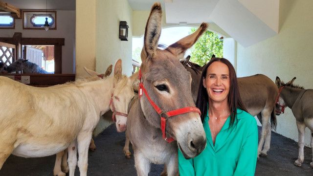 Tierische Augenblicke