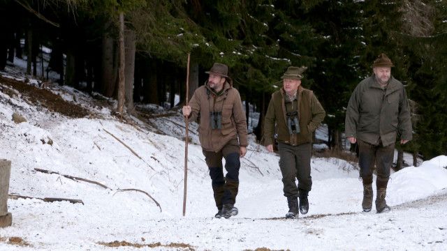 Auf der Turracher Höhe