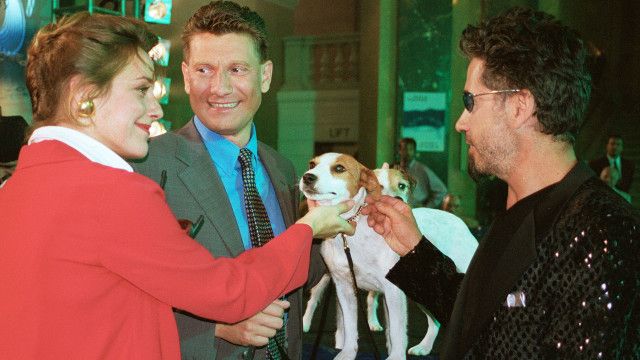 Dolce Vita & Co. (4/10): Ein Hundeleben