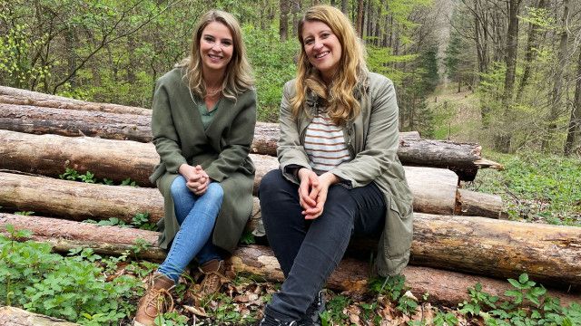 G'sund in Österreich: Der Wald, Medizin für alle Sinne