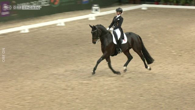 Pferdesport: Dressur CDI4* Grand Prix Freestyle - Highlights
