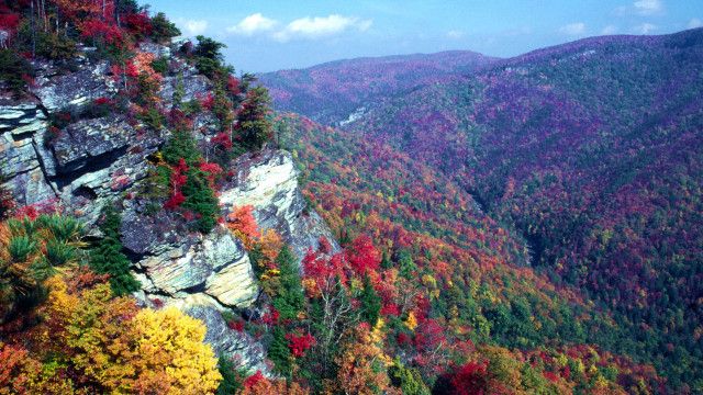Universum: Wilde Appalachen - Die Berge der Cherokee