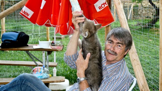 Universum: Mit Wölfen unter einer Decke (1/3)