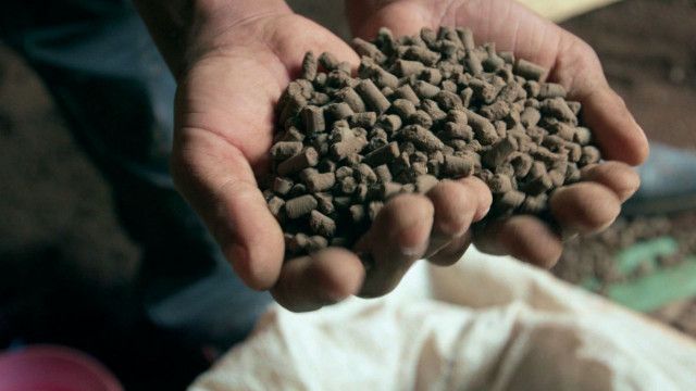 dokFilm: Holy Shit - Mit Scheiße die Welt retten