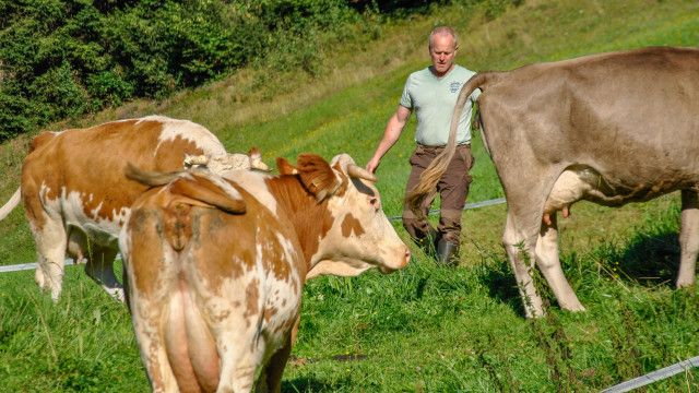 Durch den Pinzgau - Vom Rauriser Tal zum Hochkönig