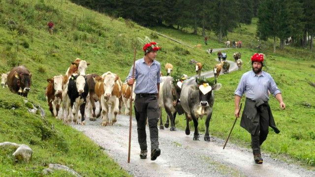 Landleben: Im Montafon