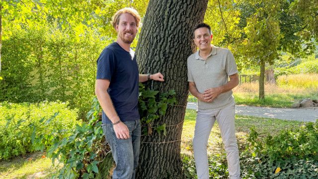 Die Gartenpiraten: Bäume