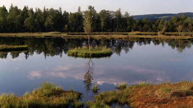 Expeditionen: Böhmerwald - Wildnis im Herzen Europas