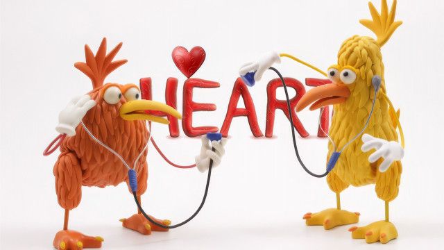 Kiwi: Die Ausstellung