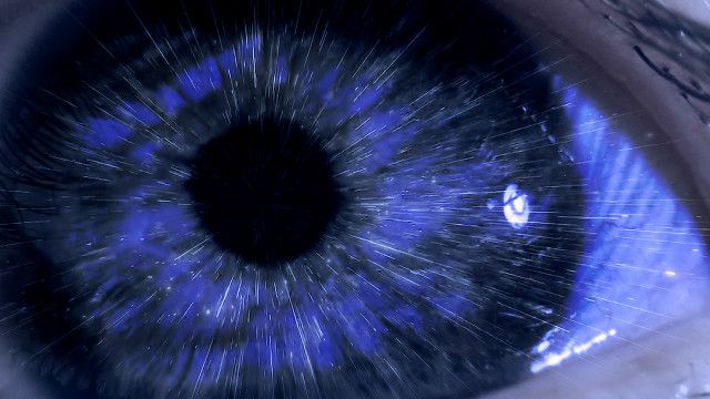 ZIB Magazin Spezial: Außer Kontrolle - haben wir die KI noch im Griff? (2/2)