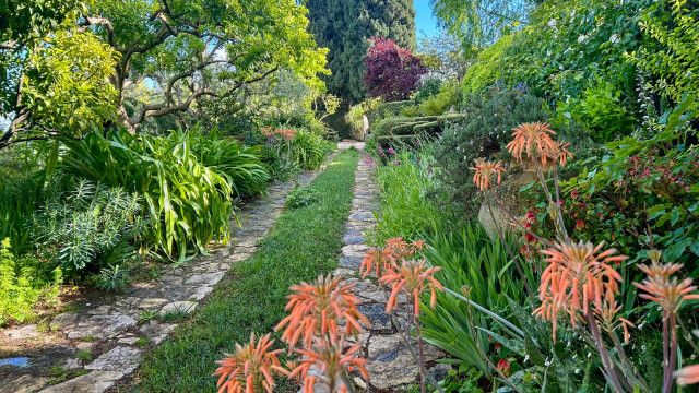 Das Paradies in der Ferne: Die duftenden Gärten an der Cote d'Azur