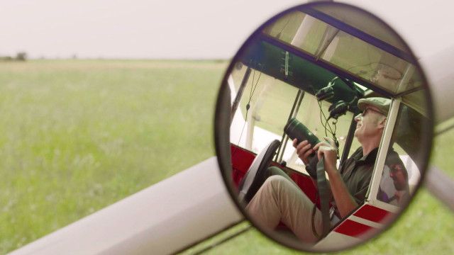 Universum: Expedition ins Schilf - Nationalpark Neusiedler See