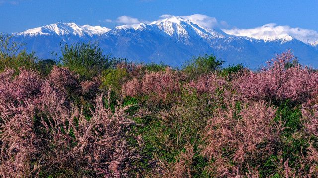 Expeditionen: Wildes Griechenland - Der unbekannte Norden (1/2)