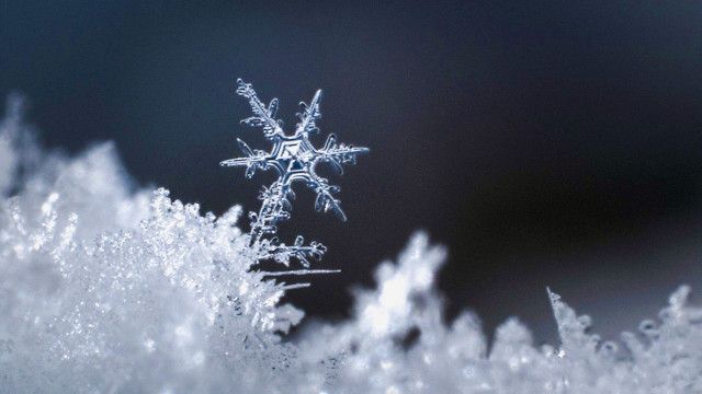 Expeditionen: Weiß wie Schnee