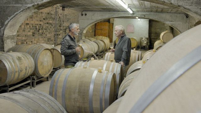 Menschen & Mächte: Panscher, Pleiten und Prozesse - Der große Weinskandal 1985