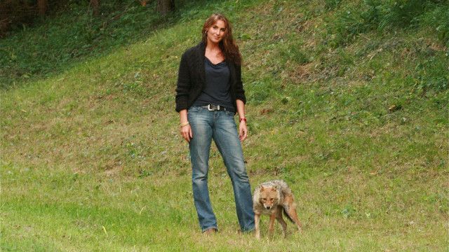 Universum: Schakale unter uns