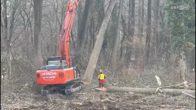 Südtirol Heute vom 09.03.2026