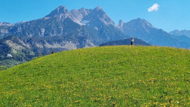G'sunder Sommer in Österreich: Die Kraft der Natur