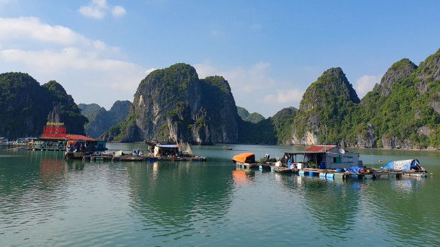 Universum: Vietnams geheimnisvoller Norden - Im Reich der Bergwälder