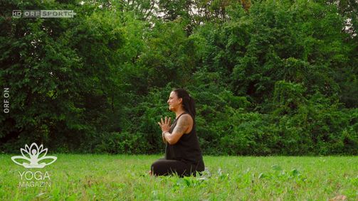 Yoga Magazin Yoga Magazin Folge 422: Yoga Magazin: Folge 273