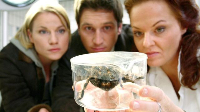 Soko Kitzbühel (14/18): Vogelspinnen