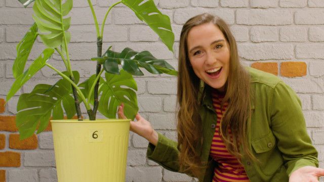 1000 Tricks vom 23.08.2024