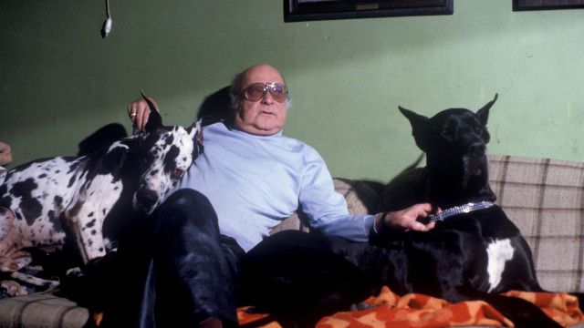 Alltagsgeschichte: Denn Hundeherzen schlagen treu