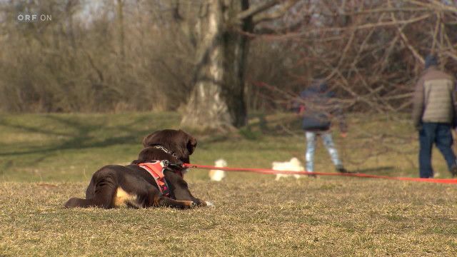 Bürgeranwalt vom 28.02.2026