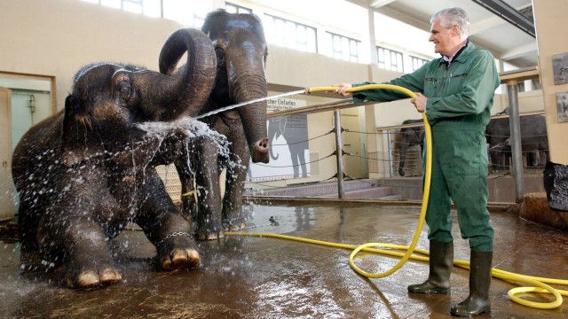 Arme Millionäre (1/8): Müll oder Frieden