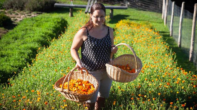 Erlebnis Österreich: Genussland Steiermark