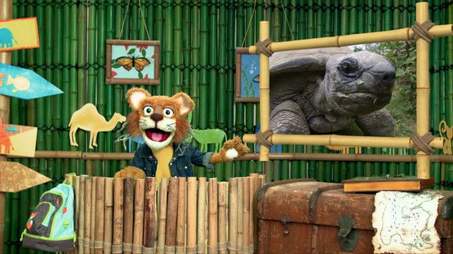 Tolle Tiere vom 08.07.2024