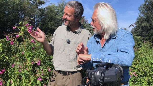 Erlebnis Österreich: Exoten in Oberösterreich - Tiere und Pflanzen als Einwanderer