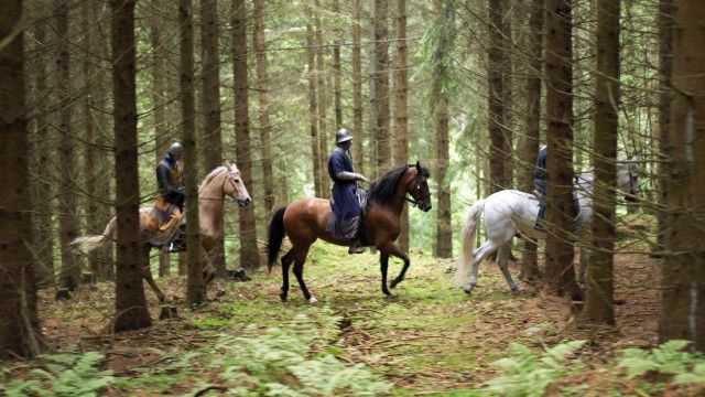 Österreich - Die ganze Geschichte (1/10): Krieger und Baumeister